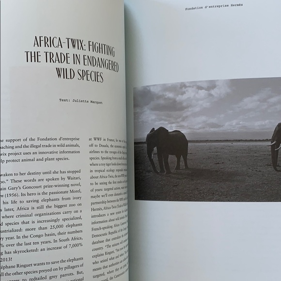 Le Monde D’Hermes - Picture 3 of 6